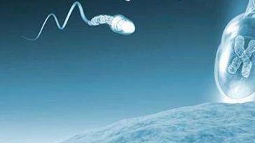 国内可以做三代试管的医院排名最新汇总