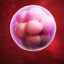 昆明市第一人民医院试管成功率一览附该院一代试管费用参考