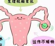 上海瑞金医院三代试管费用详情及价格分析