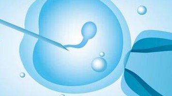 没结婚证去遵义做三代试管可以吗？大概要花费多少钱？